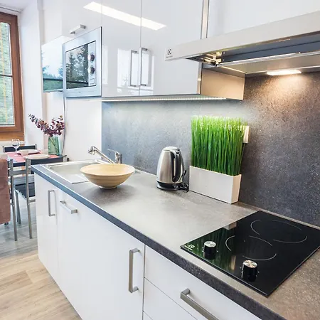 Apartment Rezidence Klinovec