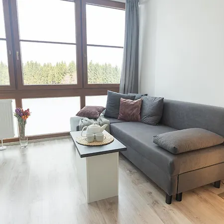 Apartment Rezidence Klinovec *
