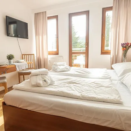 Rezidence Klinovec 아파트 Loučná pod Klínovcem