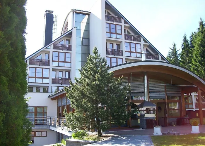 Rezidence Klinovec Apartment Loučná pod Klínovcem